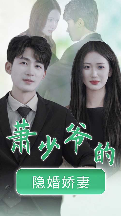 萧少爷的隐婚娇妻