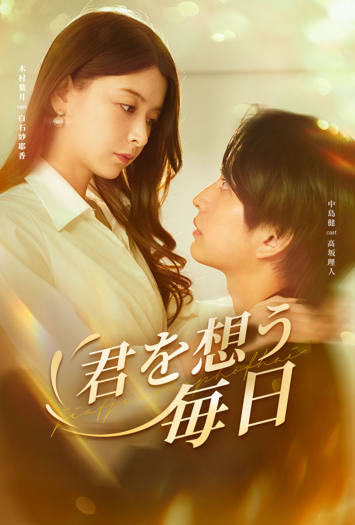 君を想う毎日 poster