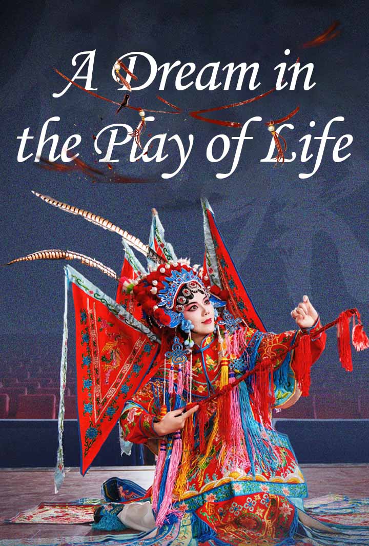 A Dream in the Play of Life poster