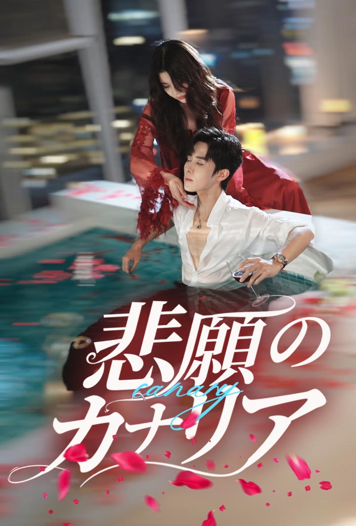 悲願のカナリア poster