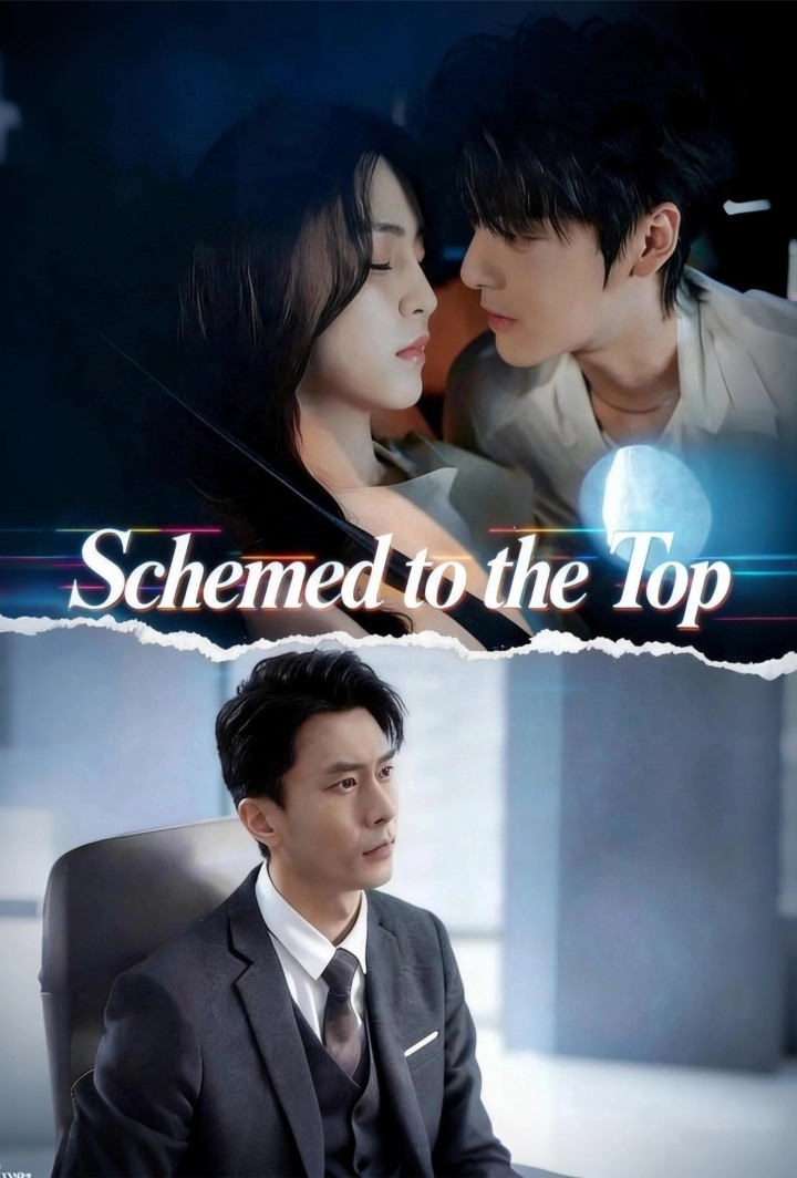 Schemed to the Top poster