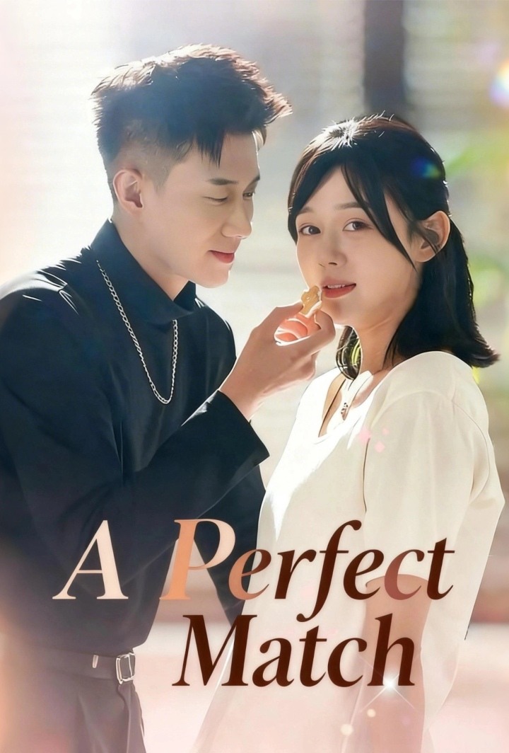 A Perfect Match poster