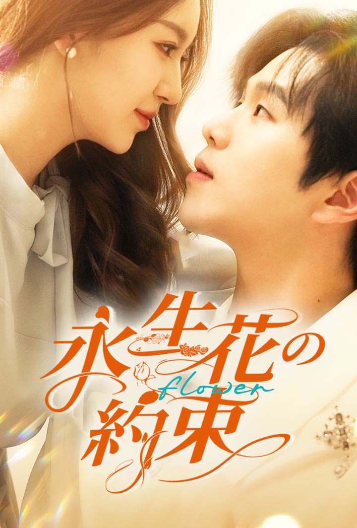 永生花の約束 poster